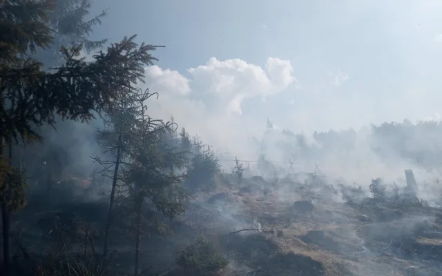 Na Jičínsku hořel les, při zásahu asistoval i bambivak a osmdesát hasičů