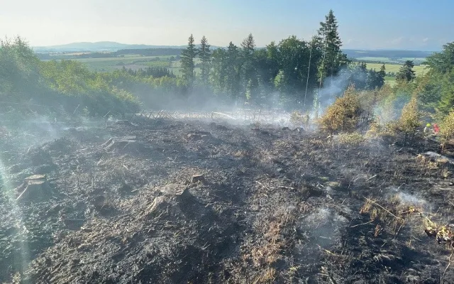 Na Jičínsku hořel les, při zásahu asistoval i bambivak a osmdesát hasičů