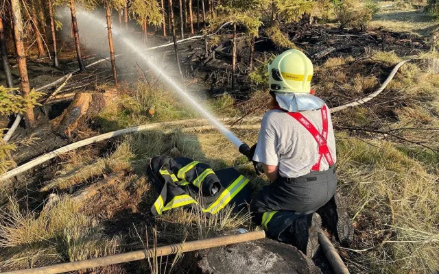 Na Jičínsku hořel les, při zásahu asistoval i bambivak a osmdesát hasičů