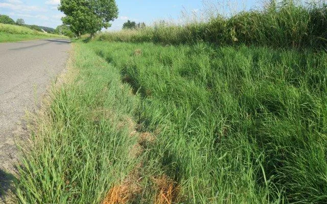 Dopravní nehoda motocyklisty u Třebovětic