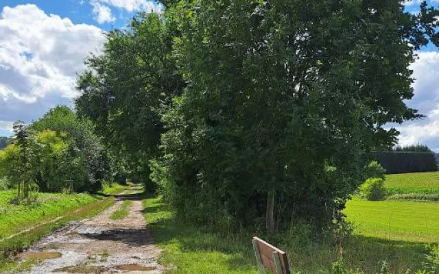 Na takzvané dálnici u Tyršova koupaliště ve Dvoře Králové jsou nové lavičky