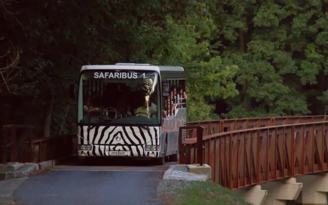 Safari Park Dvůr Králové měl o prázdninách návštěvu jako loni