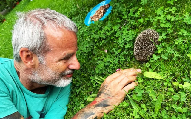 Máme na zahradě rodinku rozkošných ježků. Do záchranné stanice mláďata rozhodně neodneseme!