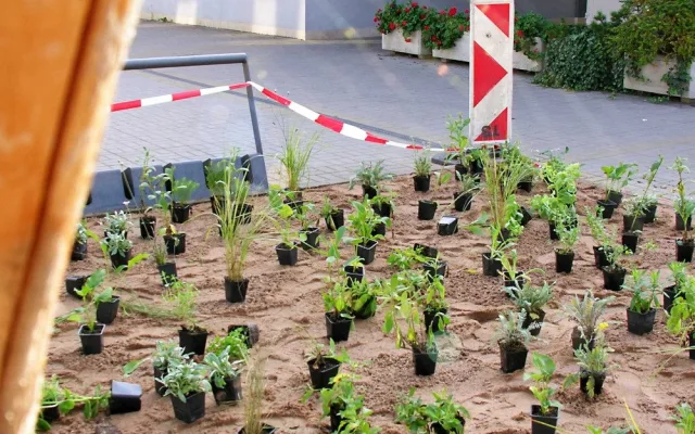 V Hradci Králové vznikl první ekologicky šetrný záhon. Lidé ho najdou v Malšovicích
