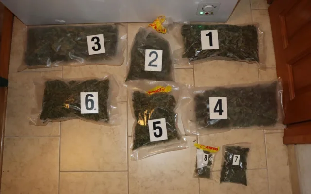 Policie rozbila česko-ukrajinský gang falešných bankéřů, zadržela čtyřicet lidí