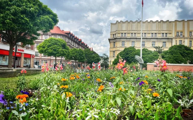 Hradec Králové rozkvetl letničkami, jsou jich tu desítky tisíc