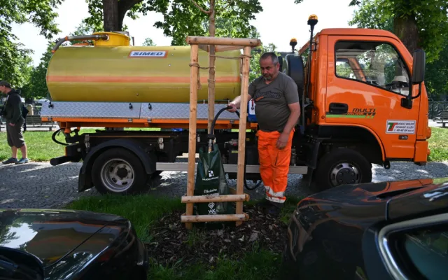 Hradec Králové pořídil nové vaky na zavlažování stromů. Použil peníze re-use projektu
