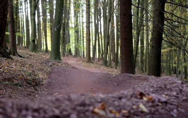 V Náchodě se otevřel nový trail Lišák. Podobných tratí je v kraji více