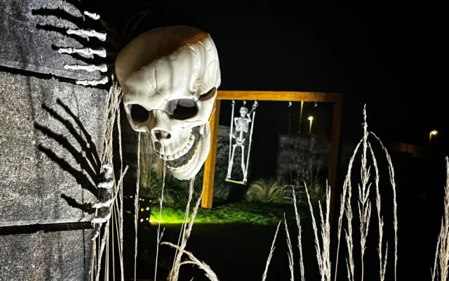 Halloweenským hitem jsou v kraji pavučiny, pavouci a lebky