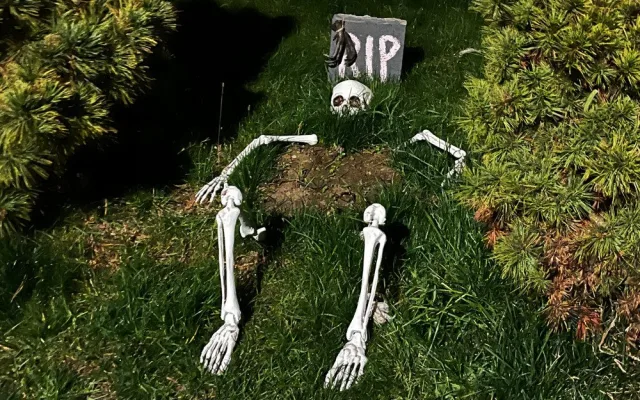 Halloweenským hitem jsou v kraji pavučiny, pavouci a lebky