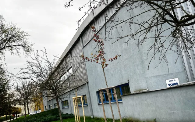 Zimní stadion v Hradci Králové čeká modernizace, sportovci dostanou důstojné zázemí