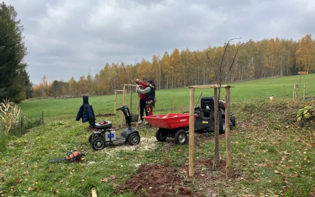 V Nové Pace obnovují lesopark v areálu kláštera. Zeleň dostane druhou šanci