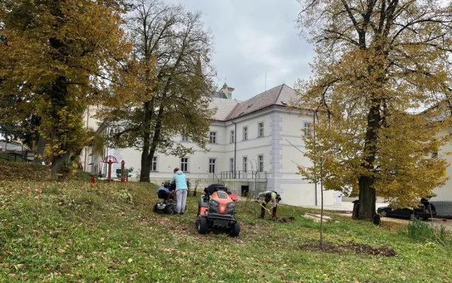 V Nové Pace obnovují lesopark v areálu kláštera. Zeleň dostane druhou šanci