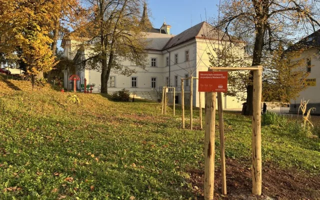 V Nové Pace obnovují lesopark v areálu kláštera. Zeleň dostane druhou šanci