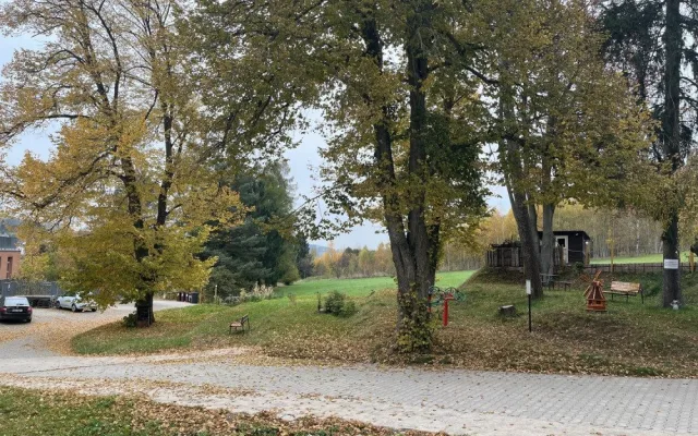 V Nové Pace obnovují lesopark v areálu kláštera. Zeleň dostane druhou šanci