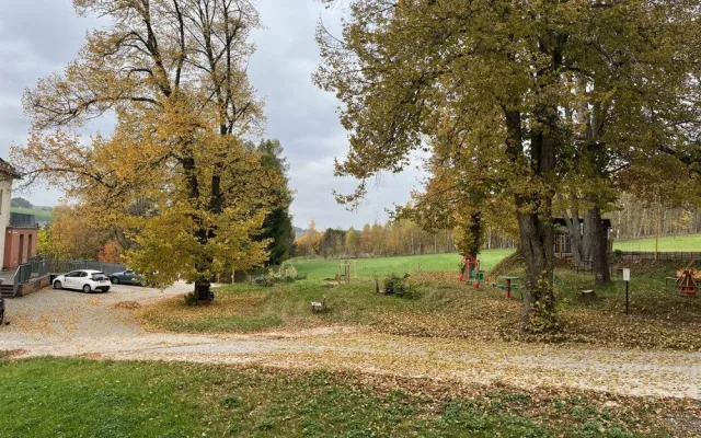 V Nové Pace obnovují lesopark v areálu kláštera. Zeleň dostane druhou šanci