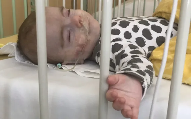 Samík z Vamberka bojuje s těžkou nemocí. Léčba stojí tisíce měsíčně a pojišťovna nepomáhá
