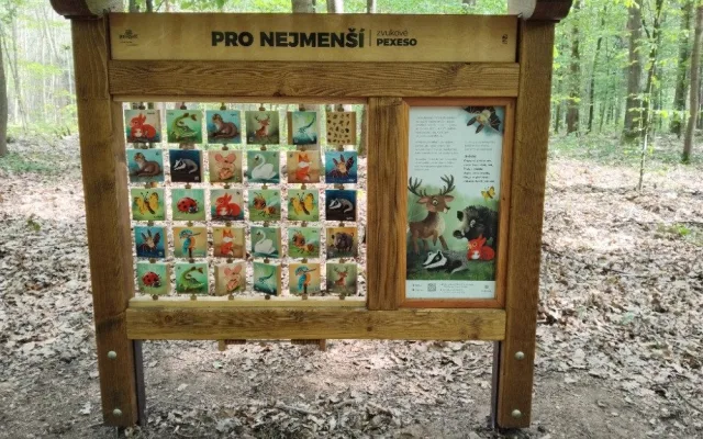 FOTO: Kam s dětmi? Třebechovice lákají na hry i odpočinek v lese