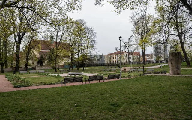 UpGreen: Analýza stromů založená na satelitních datech