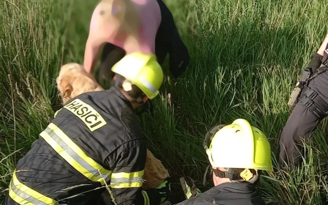 FOTO: Hasiči v Předměřicích zachránili psa. Spadl do hluboké skruže