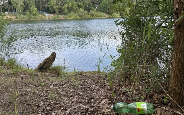 Lokalita dlouhodobě láká problémové skupiny a břehy zarůstají náletovými dřevinami.