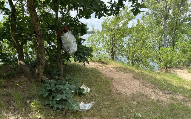 Opaťák má nového majitele: ploty stavět nechce, žádá konec nepořádku a vraků v lese