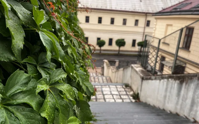 Pod sítěmi a lešením začíná záchrana hradeckého Gočárova schodiště