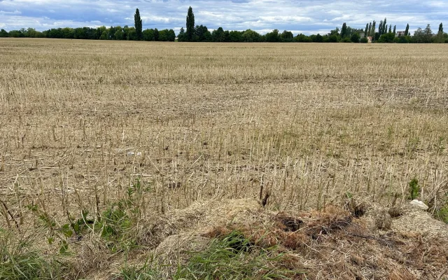 Hradecké Stonehenge v ohrožení. Sedm tisíc let historie stojí proti nové silnici
