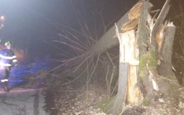 Následky silného větru hasiči řešili i o víkendu