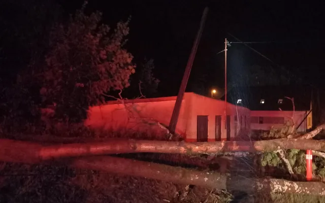 Noční bouřky v kraji: 50 výjezdů, strom na kolejích i ohrožený kemp