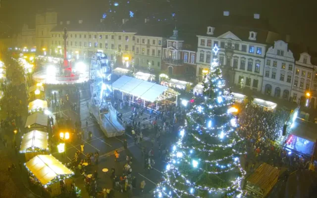 Máte na pozemku šestnáctimetrový smrk? Hradec hledá vánoční stromy
