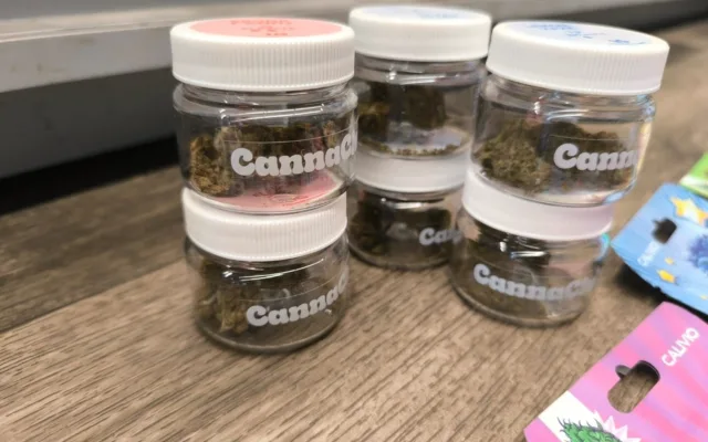 Razie na kratom a psychoaktivní látky: Policisté v kraji zajistili 8 tisíc kusů