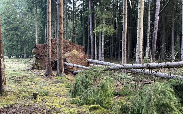 Bouře poničila městské lesy v Hradci. Některá místa jsou nebezpečná