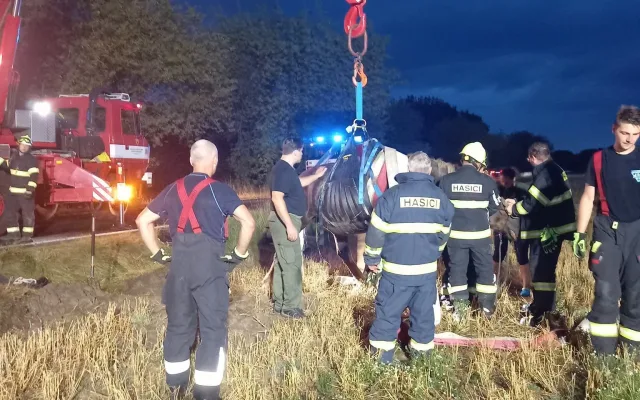 FOTO: 900kilový kůň spadl do příkopu. Hasiči ho zachraňovali speciální sítí