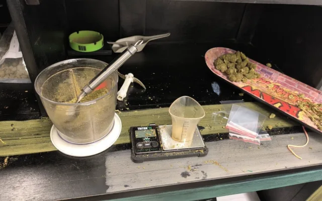 Razie na kratom a psychoaktivní látky: Policisté v kraji zajistili 8 tisíc kusů