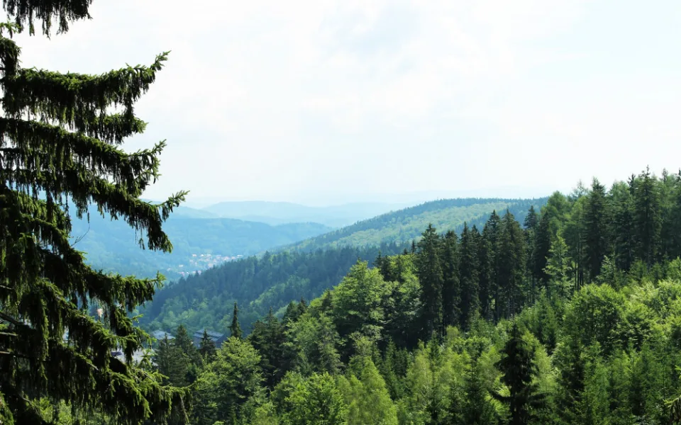 Krkonoše