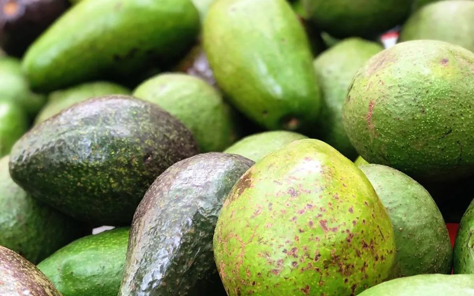 Na Náplavce se bude ochutnávat exotické ovoce, Virunga doveze annony, dračí ovoce i jackfruity