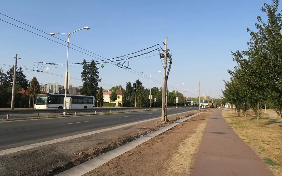 Prázdno po pokácených stromech