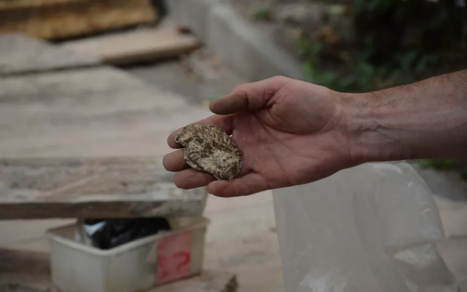 Archeologové nalezli u Bona publica zbytky pravěkého osídlení