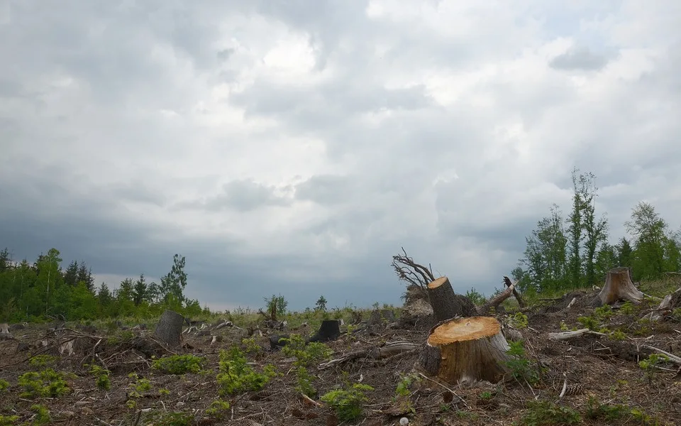Ilustrační foto