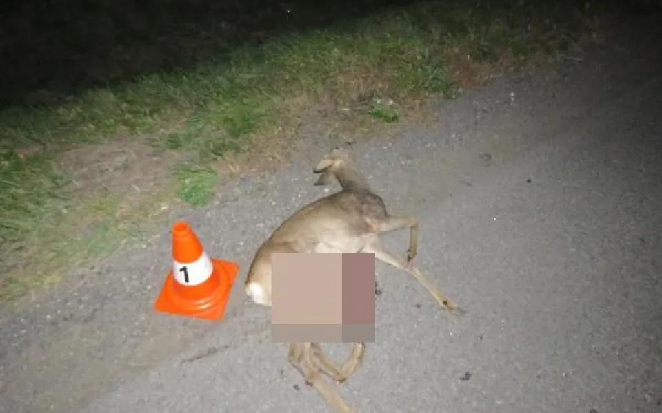 Foto PČR