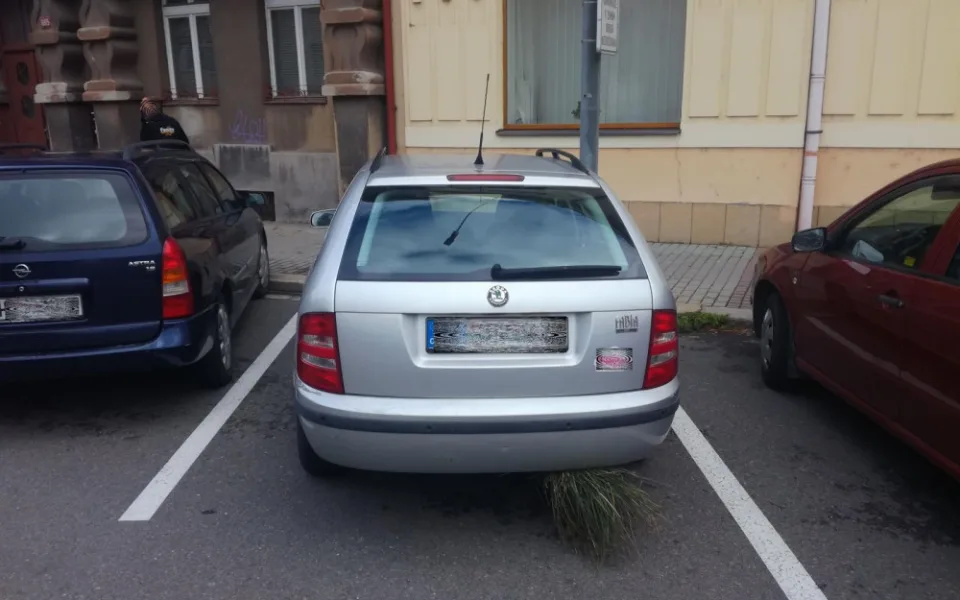 Fabia s trsem trávy