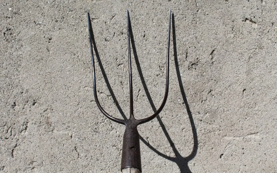 Ilustrační foto
