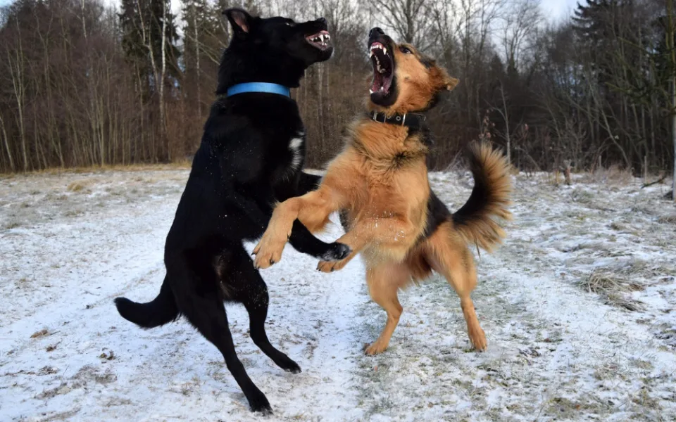 Ilustrační foto
