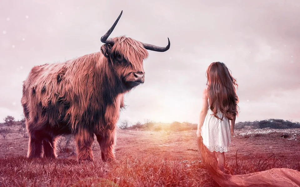 Ilustrační foto