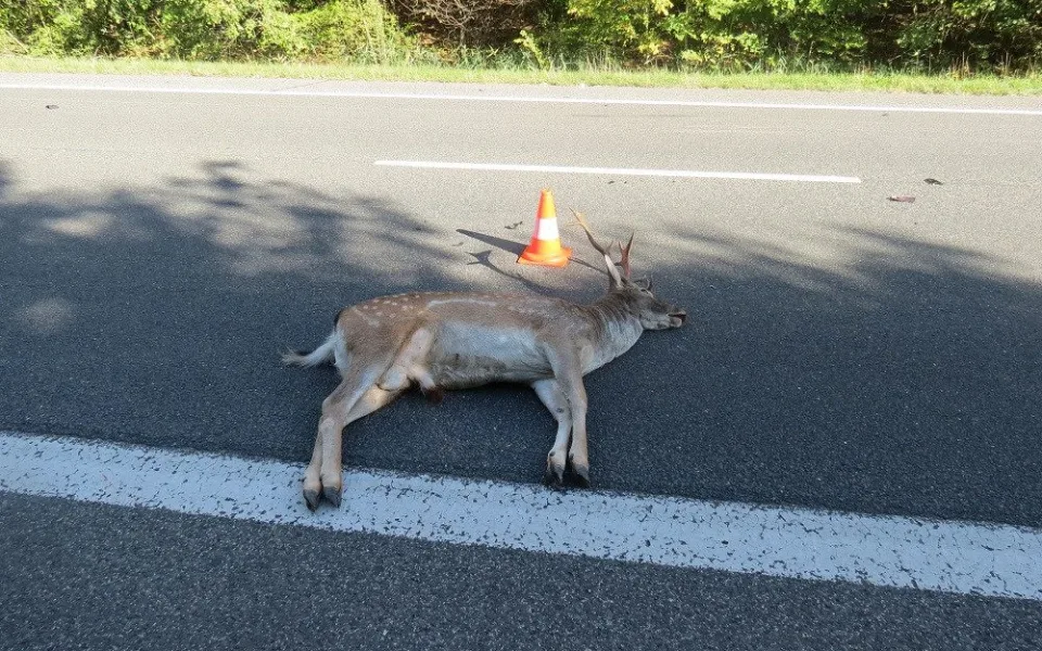 Ilustrační foto