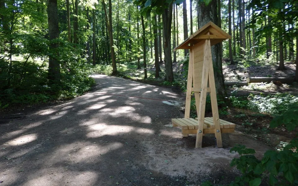 lesní cesta