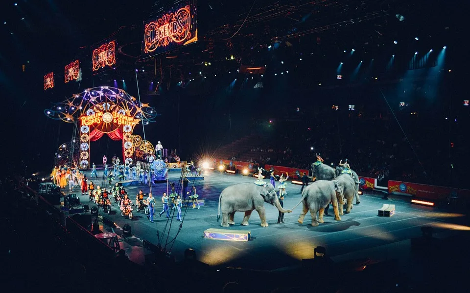 ilustrační foto
