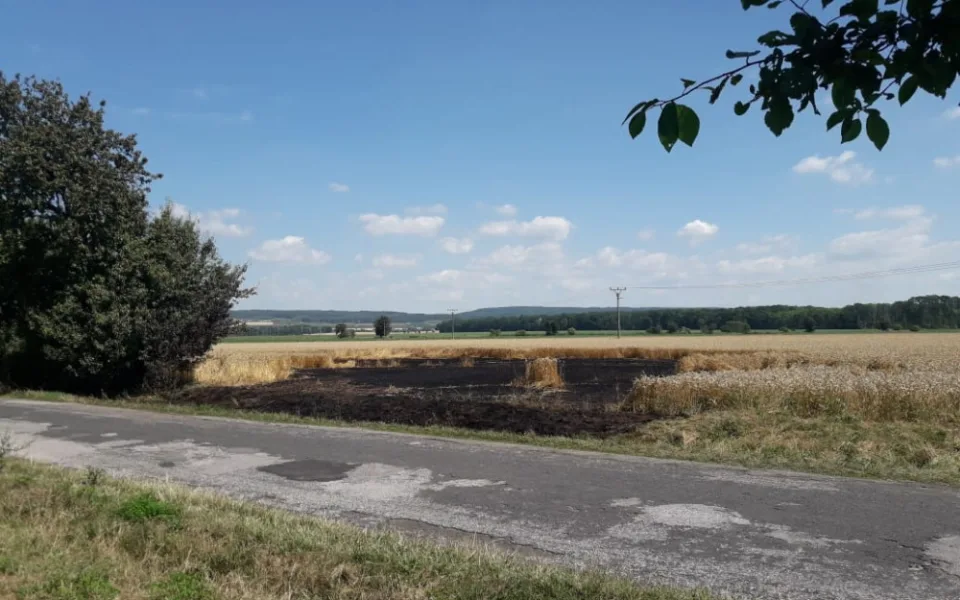 Pole po požáru.