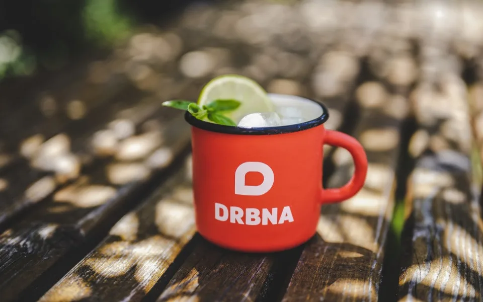 Drbna plecháček